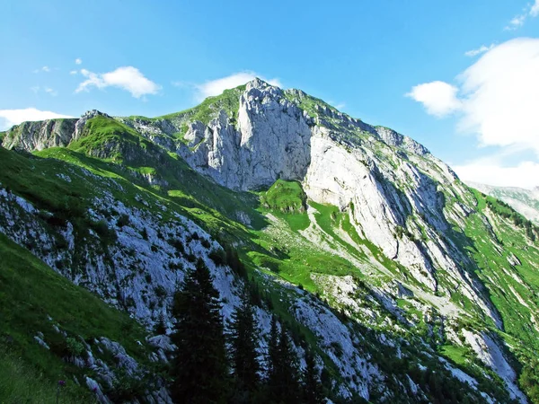 Alpejskie Krajobrazy Skaliste Szczyty Pasma Górskiego Alpstein Kantony Gallen Appenzell — Zdjęcie stockowe