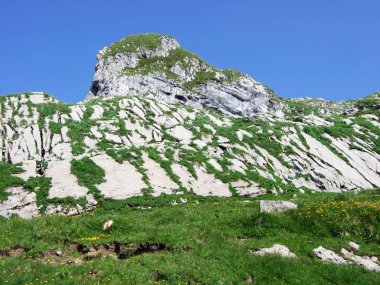 Taşlar ve kayalar Alpstein dağ silsilesi - St. Gallen Kanton ve Appenzell Innerrhoden, İsviçre