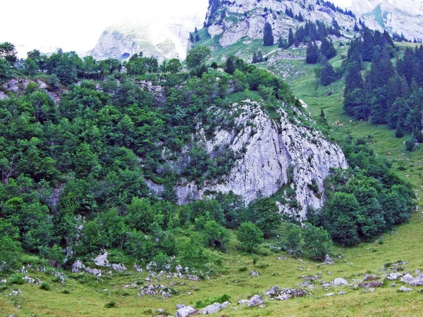 Pierres Rochers Chaîne Montagnes Alpstein Cantons Saint Gall Appenzell Innerrhoden — Photo