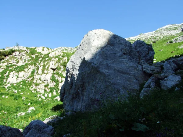 Taşlar Kayalar Alpstein Dağ Silsilesi Gallen Kanton Appenzell Innerrhoden Sviçre — Stok fotoğraf