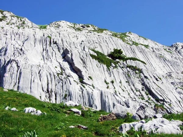 Piedras Rocas Cordillera Alpstein Cantones Gallen Appenzell Innerrhoden Suiza — Foto de Stock