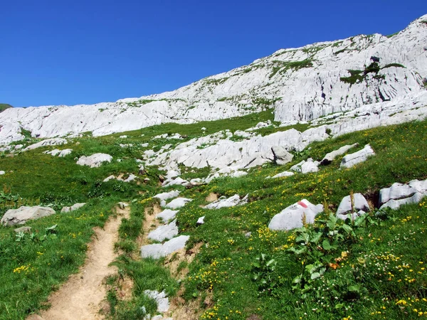 Steine Und Felsen Des Alpsteingebirges Kantone Gallen Und Appenzell Innerrhoden — Stockfoto