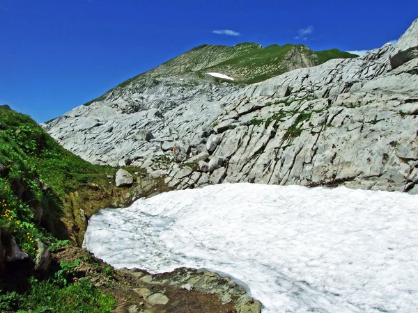 Pietre Rocce Della Catena Montuosa Alpstein Cantoni San Gallo Appenzello — Foto Stock