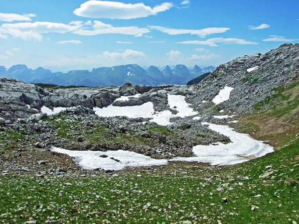阿尔普斯坦山脉的石头和岩石 瑞士圣加仑和阿彭策尔内罗登州 — 图库照片