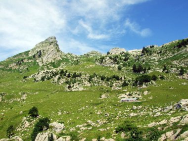 Alpine mera ve çayırlar Alpstein dağ yamaçlarında nehir düşündüklerini Vadisi'nde - St. Gallen Kanton ve Appenzell Innerrhoden, İsviçre