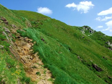 Alpine mera ve çayırlar Alpstein dağ yamaçlarında nehir düşündüklerini Vadisi'nde - St. Gallen Kanton ve Appenzell Innerrhoden, İsviçre