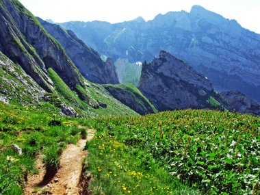 Alpine mera ve çayırlar Alpstein dağ yamaçlarında nehir düşündüklerini Vadisi'nde - St. Gallen Kanton ve Appenzell Innerrhoden, İsviçre
