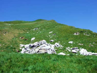 Alpine mera ve çayırlar Alpstein dağ yamaçlarında nehir düşündüklerini Vadisi'nde - St. Gallen Kanton ve Appenzell Innerrhoden, İsviçre