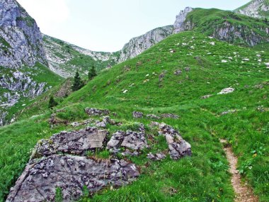 Alpine mera ve çayırlar Alpstein dağ yamaçlarında nehir düşündüklerini Vadisi'nde - St. Gallen Kanton ve Appenzell Innerrhoden, İsviçre