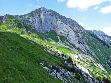 Alpine mera ve çayırlar Alpstein dağ yamaçlarında nehir düşündüklerini Vadisi'nde - St. Gallen Kanton ve Appenzell Innerrhoden, İsviçre