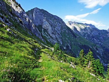Alpine mera ve çayırlar Alpstein dağ yamaçlarında nehir düşündüklerini Vadisi'nde - St. Gallen Kanton ve Appenzell Innerrhoden, İsviçre