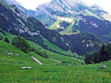 Alpine mera ve çayırlar Alpstein dağ yamaçlarında nehir düşündüklerini Vadisi'nde - St. Gallen Kanton ve Appenzell Innerrhoden, İsviçre
