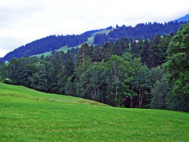 Alpine mera ve çayırlar Alpstein dağ yamaçlarında nehir düşündüklerini Vadisi'nde - St. Gallen Kanton ve Appenzell Innerrhoden, İsviçre