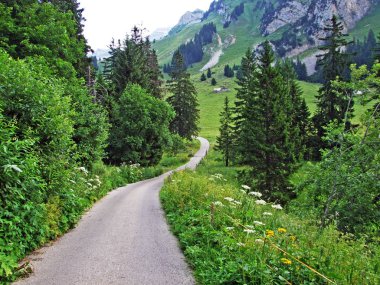 Ağaçlar ve karışık ormanlar pistlerinin Alpstein dağ ve nehir düşündüklerini Vadisi - Canton St. Gallen, İsviçre