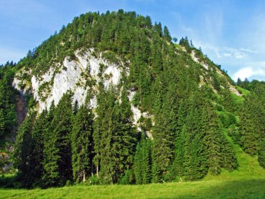 Ağaçlar ve herdem yeşil ormanlar pistlerinin Alpstein dağ ve nehir düşündüklerini Vadisi'nde - St. Gallen Kanton ve Appenzell Innerrhoden, İsviçre