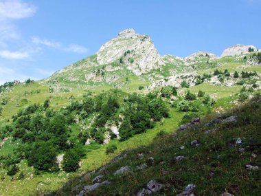 Ağaçlar ve herdem yeşil ormanlar pistlerinin Alpstein dağ ve nehir düşündüklerini Vadisi'nde - St. Gallen Kanton ve Appenzell Innerrhoden, İsviçre
