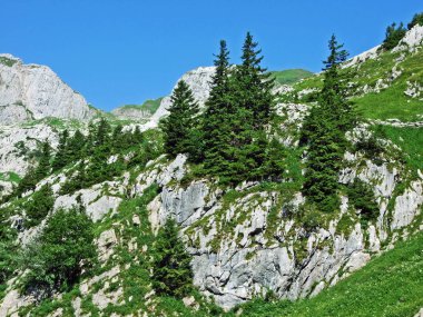 Ağaçlar ve herdem yeşil ormanlar pistlerinin Alpstein dağ ve nehir düşündüklerini Vadisi'nde - St. Gallen Kanton ve Appenzell Innerrhoden, İsviçre