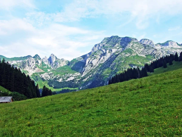 Альпійські Пасовища Луки Схилах Гірського Хребта Alpstein Thur Долина Річки — стокове фото
