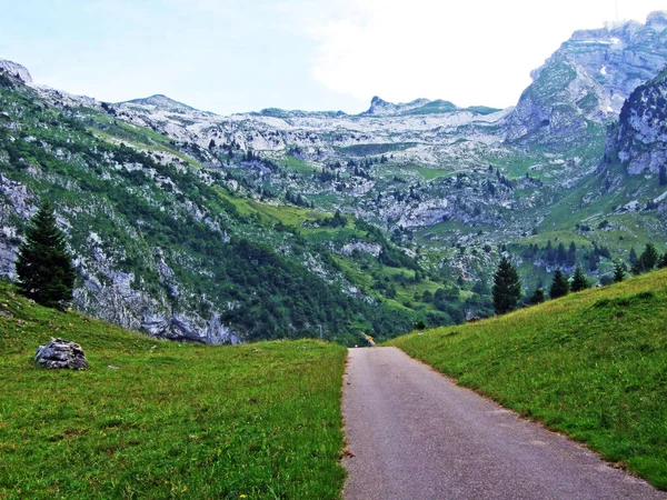 Alpské Pastviny Louky Svazích Pohoří Alpstein Údolí Řeky Thur Kantonech — Stock fotografie