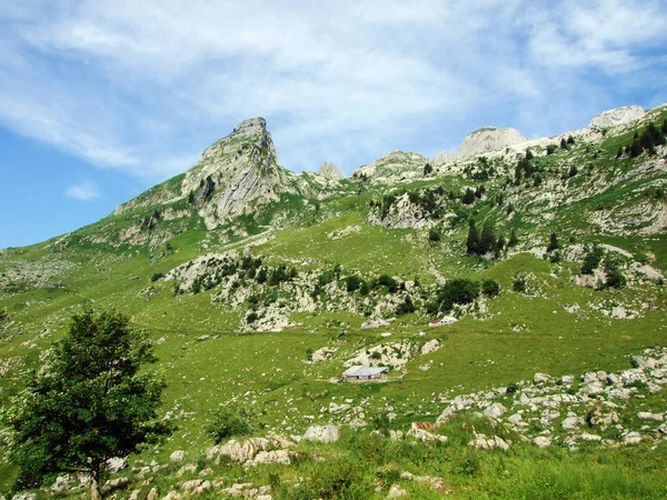 Alpina Betesmarker Och Ängar Sluttningarna Alpstein Bergskedja Och Tors Älvdal — Stockfoto