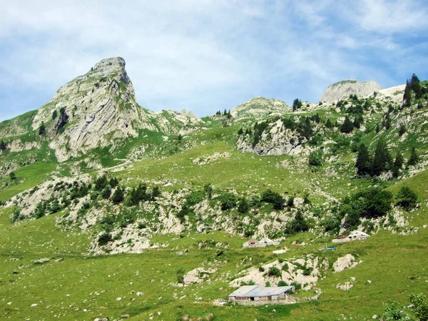 Almen Und Wiesen Den Hängen Des Alpsteingebirges Und Thurtal Kantone — Stockfoto