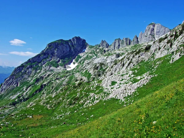 Alpesi Legelők Rétek Alpstein Hegység Lejtőin Völgyben Folyó Thur Gallen — Stock Fotó