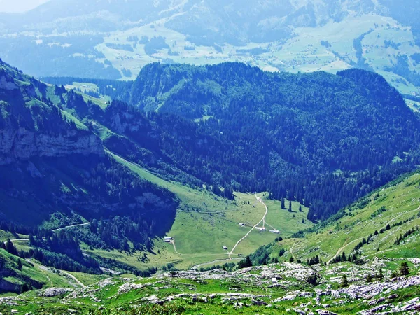 高山の牧草地と川木谷 ザンクト ガレン州 アッペンツェル Innerrhoden スイス Alpstein 山脈の斜面の牧草地 — ストック写真