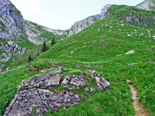 Pastos Alpinos Prados Las Laderas Cordillera Alpstein Valle Del Río — Foto de Stock