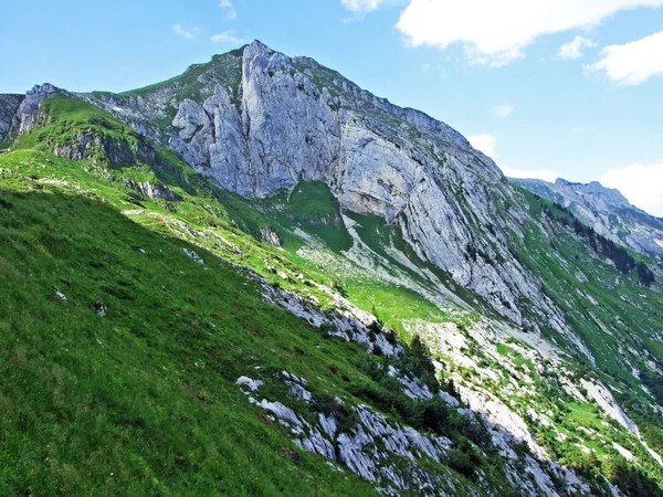 알파인 목초지와 장크트 Innerrhoden 스위스 그리고 Alpstein 산맥의 경사면에 — 스톡 사진