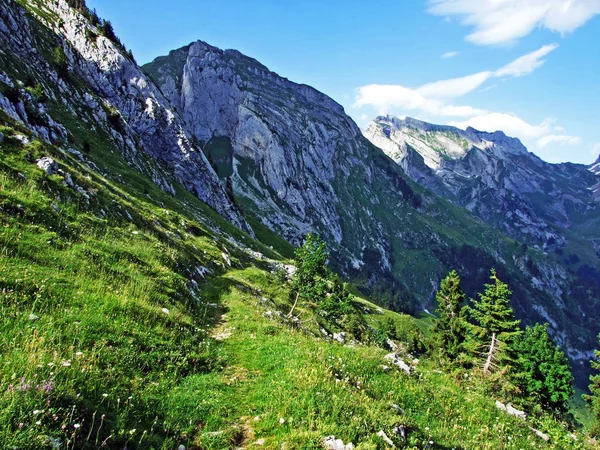 Almen Und Wiesen Den Hängen Des Alpsteingebirges Und Thurtal Kantone — Stockfoto