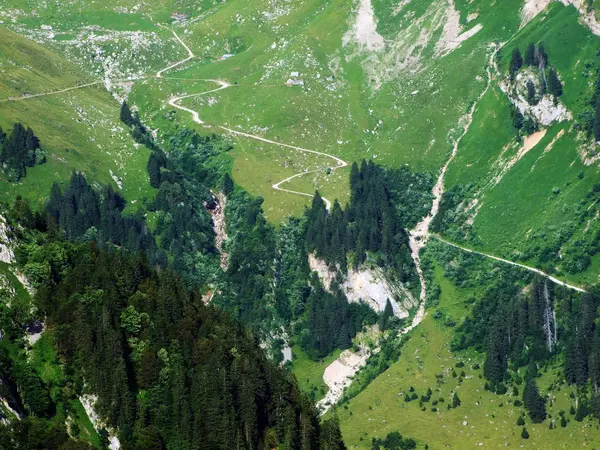Alpine Mera Çayırlar Alpstein Dağ Yamaçlarında Nehir Düşündüklerini Vadisi Nde — Stok fotoğraf
