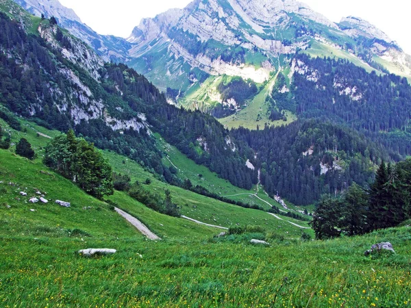 Alpské Pastviny Louky Svazích Pohoří Alpstein Údolí Řeky Thur Kantonech — Stock fotografie