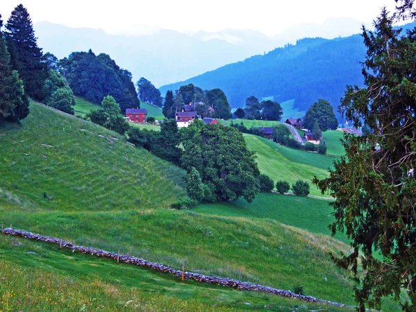 阿尔卑斯山脉山坡上的高山牧场和草地以及图尔河 瑞士圣加仑和阿彭策尔因纳罗登州 — 图库照片