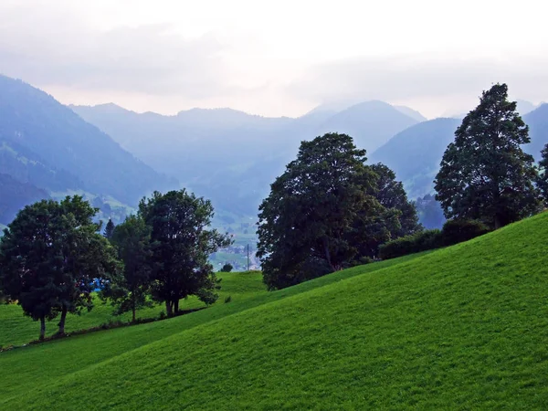 Pastos Alpinos Prados Las Laderas Cordillera Alpstein Valle Del Río — Foto de Stock