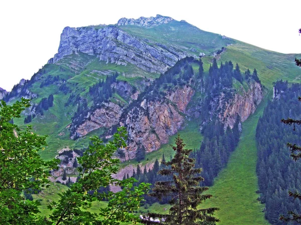 Arbres Forêts Mixtes Des Versants Chaîne Montagnes Alpstein Dans Vallée — Photo