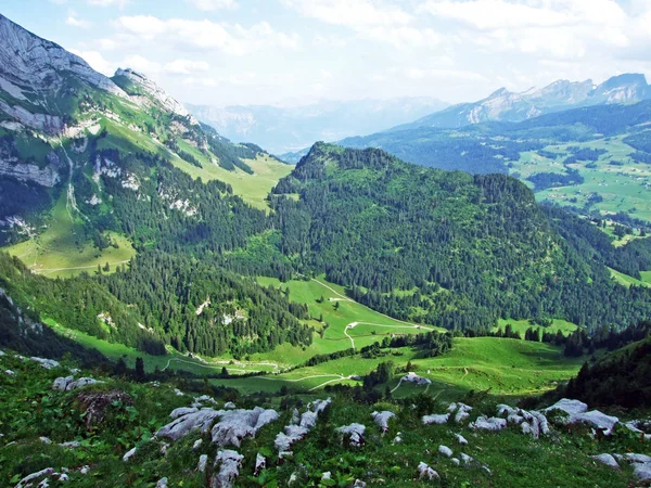 Stromy Jehličnaté Lesy Svazích Alpstein Pohoří Údolí Řeky Thur Kantonech — Stock fotografie