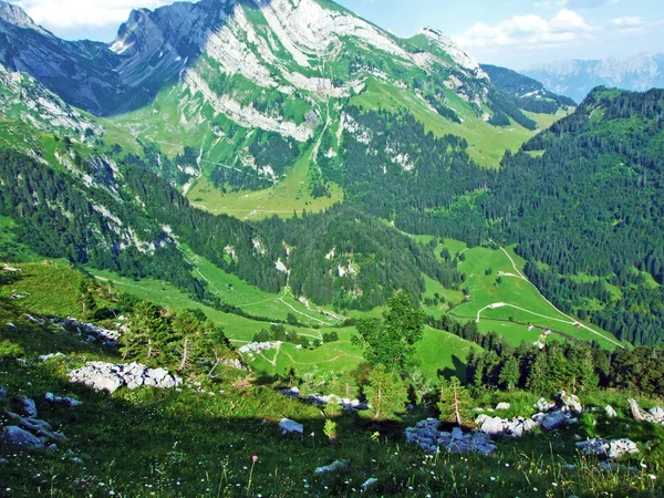 Stromy Jehličnaté Lesy Svazích Alpstein Pohoří Údolí Řeky Thur Kantonech — Stock fotografie