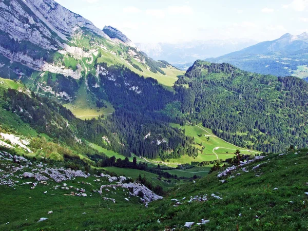 Stromy Jehličnaté Lesy Svazích Alpstein Pohoří Údolí Řeky Thur Kantonech — Stock fotografie