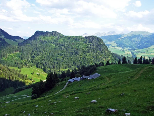 Stromy Jehličnaté Lesy Svazích Alpstein Pohoří Údolí Řeky Thur Kantonech — Stock fotografie