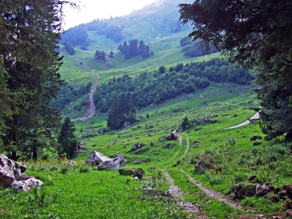 Träd Och Vintergröna Skogar Sluttningarna Alpstein Bergskedja Och Tors Älvdal — Stockfoto