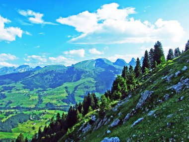 Nehirde Alpstein dağ silsilesi - Canton St. Gallen, İsviçre vadiden düşündüklerini görüntülemek