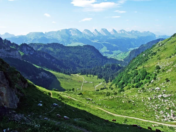 Nehirde Alpstein Dağ Silsilesi Canton Gallen Sviçre Vadiden Düşündüklerini Görüntülemek — Stok fotoğraf