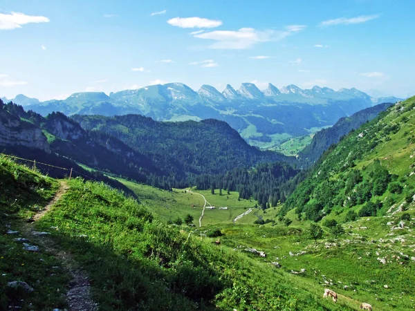 Nehirde Alpstein Dağ Silsilesi Canton Gallen Sviçre Vadiden Düşündüklerini Görüntülemek — Stok fotoğraf
