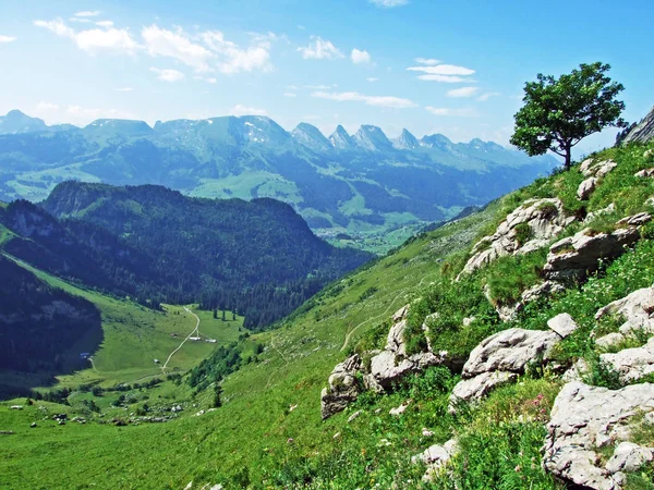 Vista Sulla Valle Del Fiume Thur Dalla Catena Montuosa Alpstein — Foto Stock