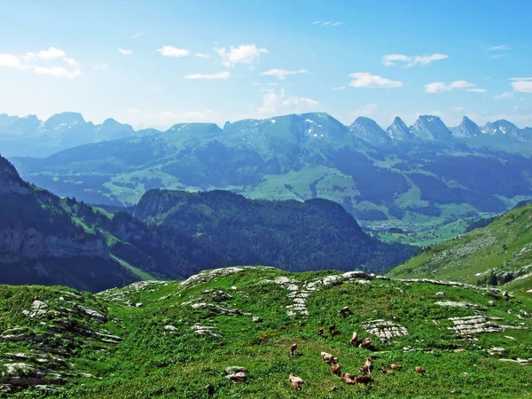 Zobrazit Řeky Thur Údolí Alpstein Pohoří Kantonu Gallen Švýcarsko — Stock fotografie