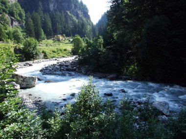 Maderanertal Alpine vadisindeki Charstelenbach akarsu-Uri Kantonu, Isviçre