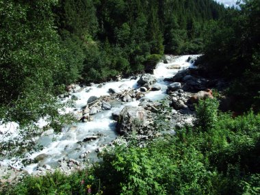 Maderanertal Alpine vadisindeki Charstelenbach akarsu-Uri Kantonu, Isviçre