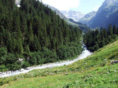 Maderanertal Alpine vadisindeki Charstelenbach akarsu-Uri Kantonu, Isviçre