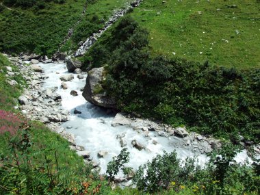 Maderanertal Alpine vadisindeki Charstelenbach akarsu-Uri Kantonu, Isviçre