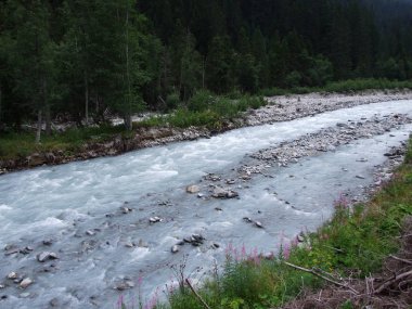 Maderanertal Alpine vadisindeki Charstelenbach akarsu-Uri Kantonu, Isviçre